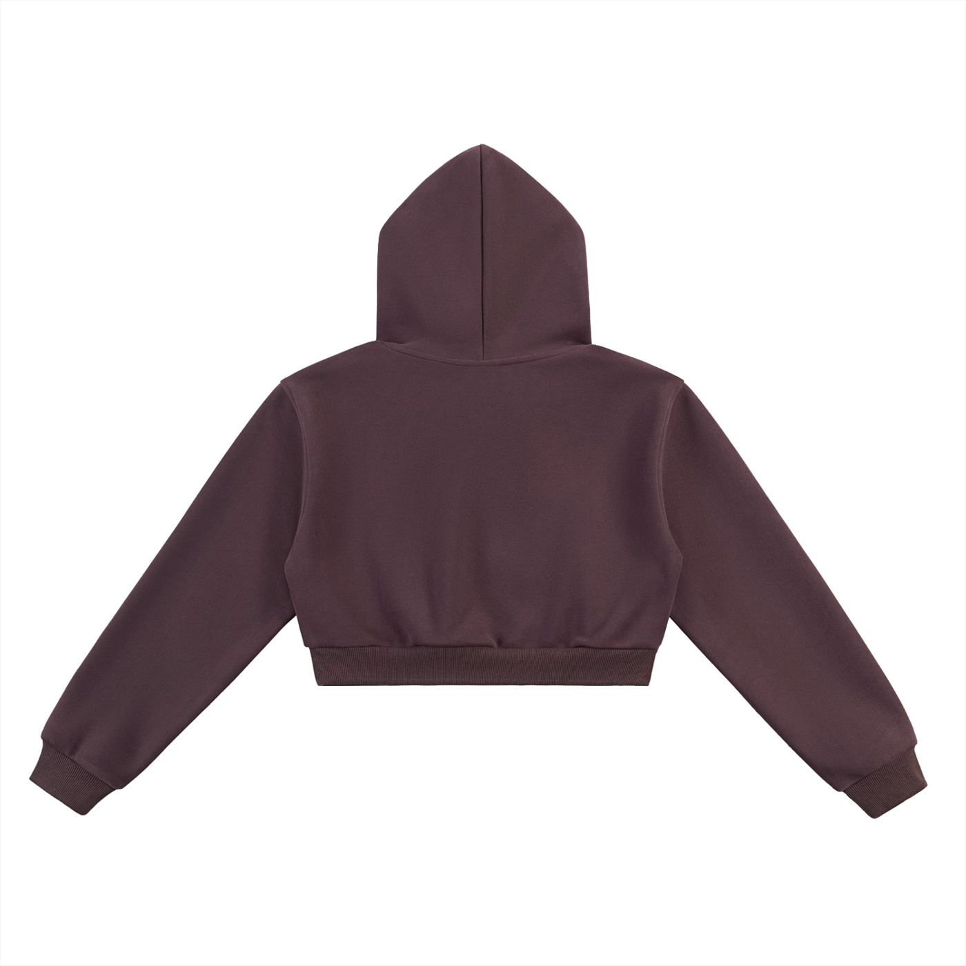 Essential Cropped Hoodie - Shining Lost