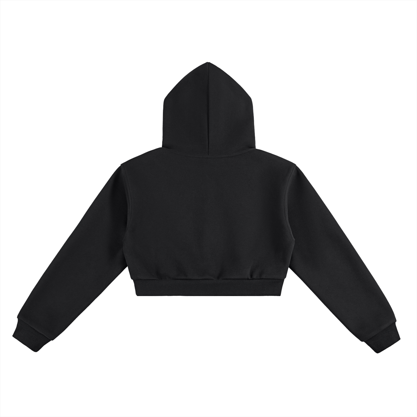 Essential Cropped Hoodie - Shining Lost