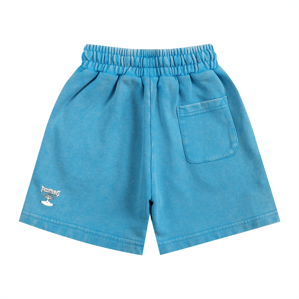 Snow Washed Kids' Shorts FT