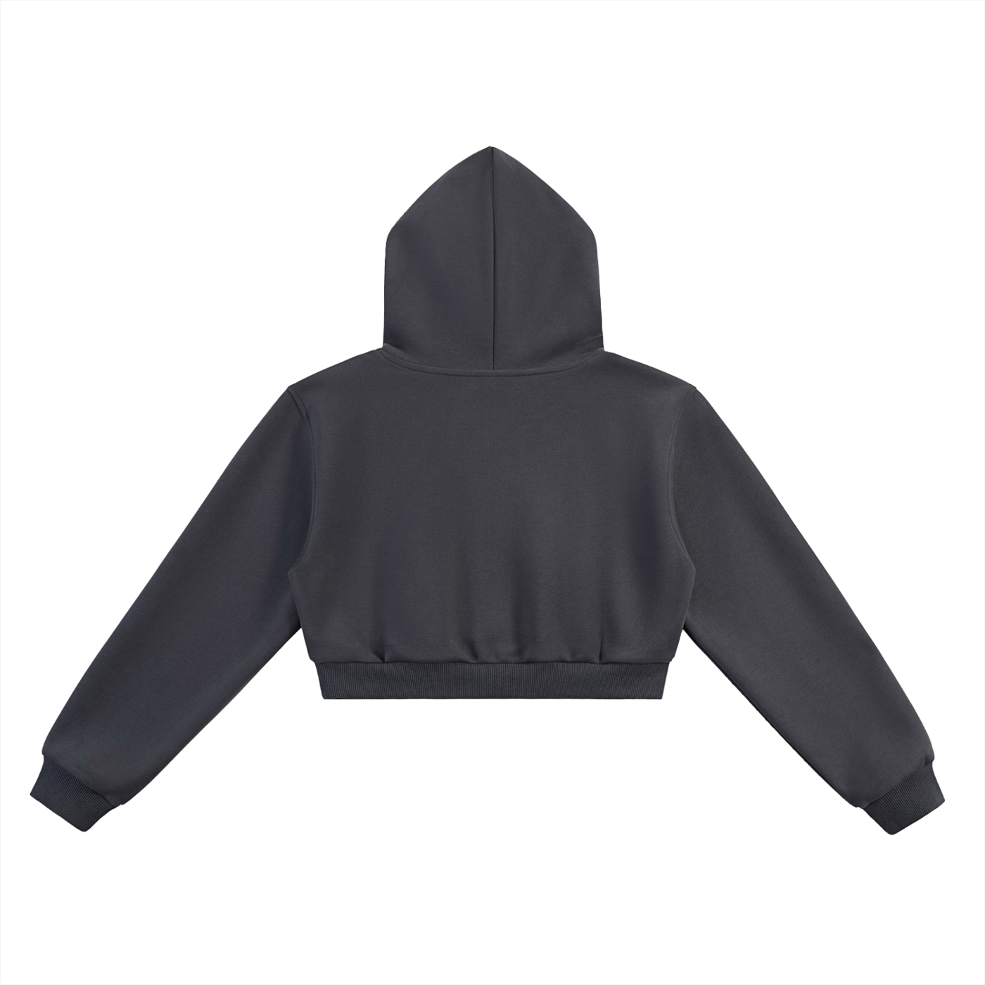 Essential Cropped Hoodie - Shining Lost