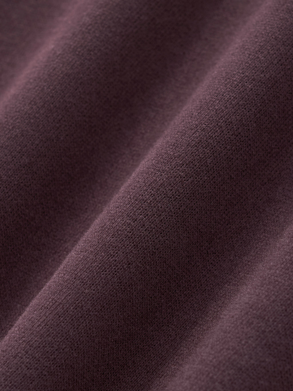 Essential Cropped Hoodie - Shining Lost