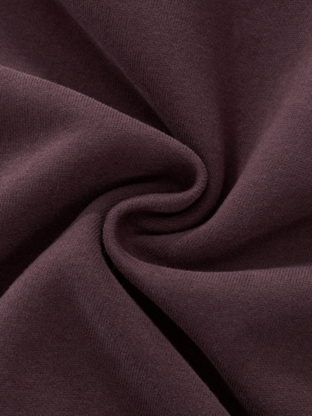 Essential Cropped Hoodie - Shining Lost